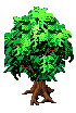 tree.PNG