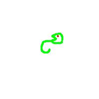 snakespiral2.JPG