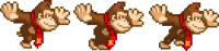 DK_Run(Shaky).png