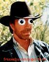 MY CHUCK NORRIS.JPG